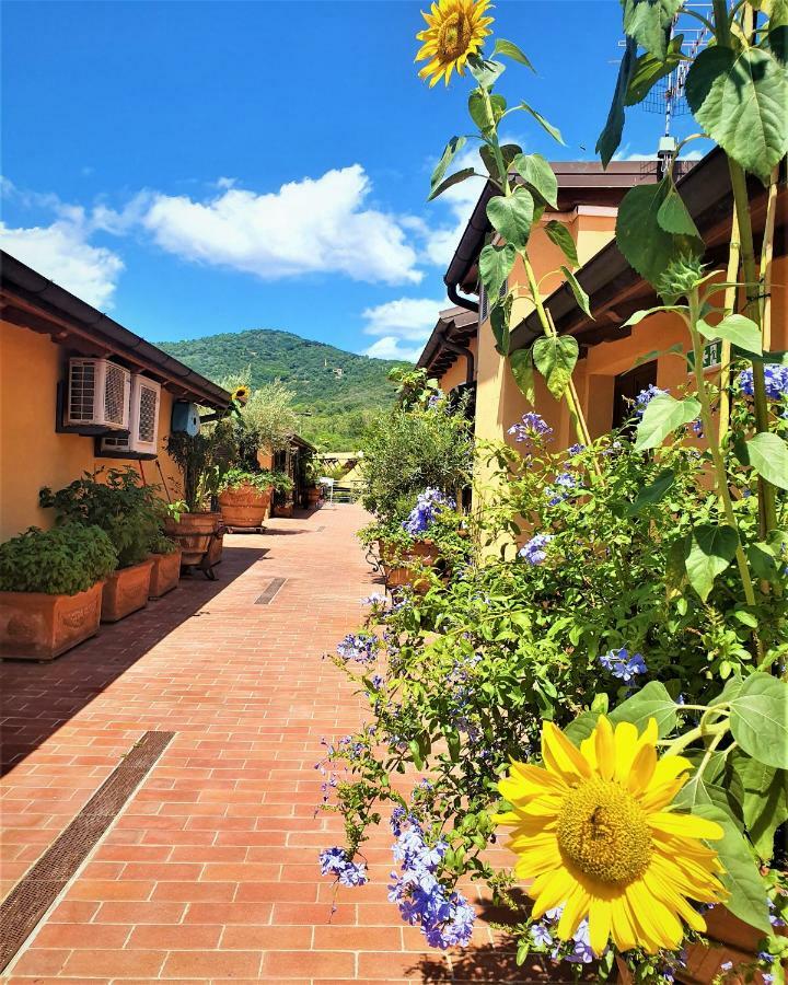 "La Terrazza Di Castiglione" Appartamenti Vacanza Castiglione della Pescaia Exterior foto